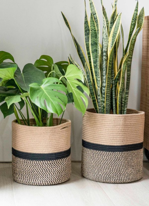 Decor