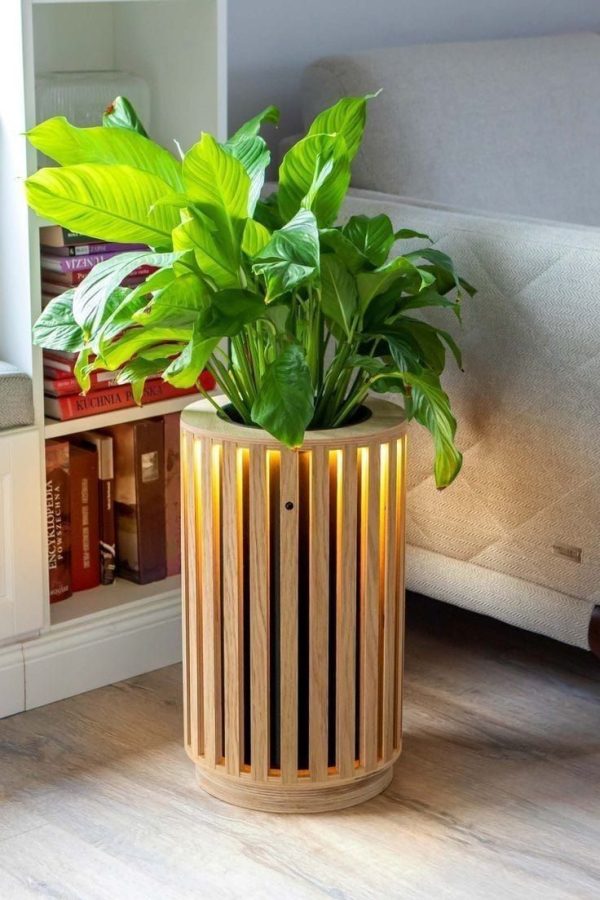 Decor