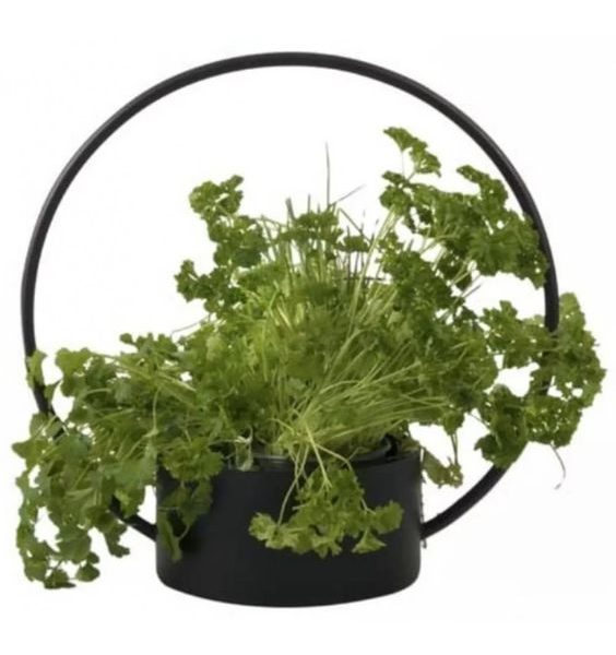 PLANTERS