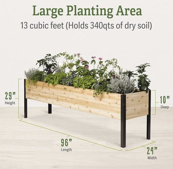 PLANTERS